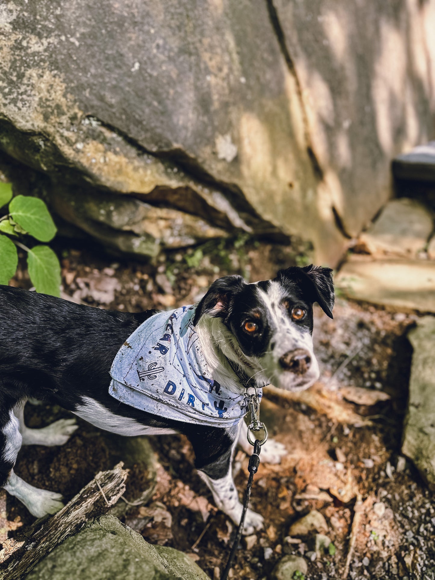 wear dirt bandana (multiple colors)